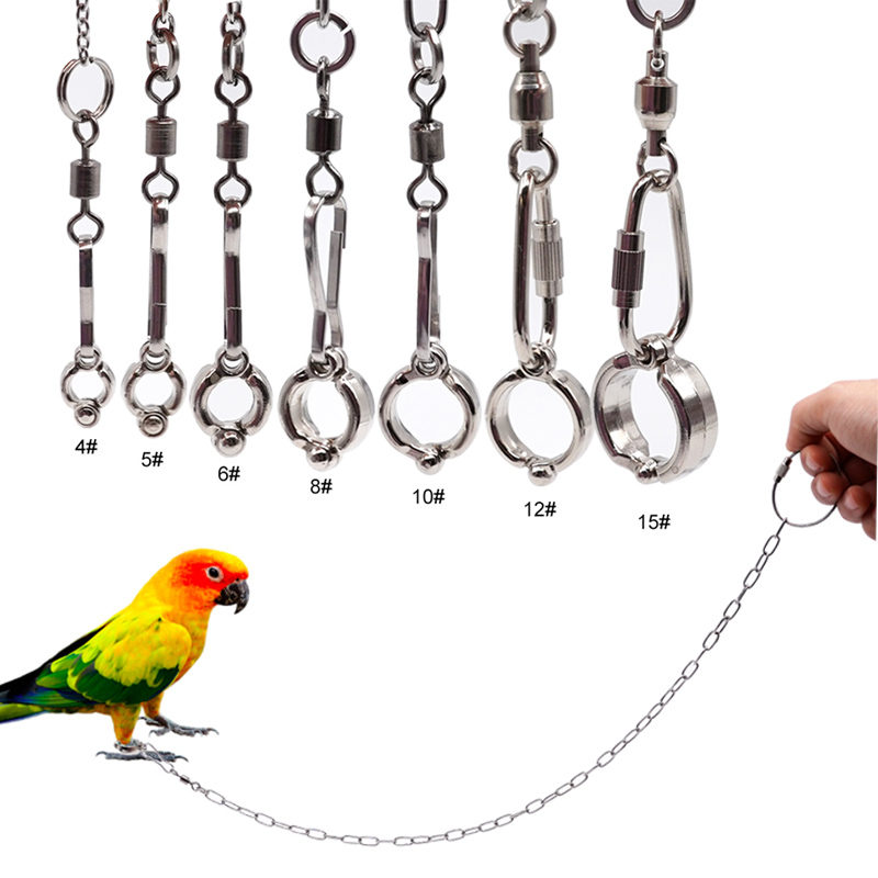 Anklet Foot Chain - Stainless Steel Parrot Leg Ring with
