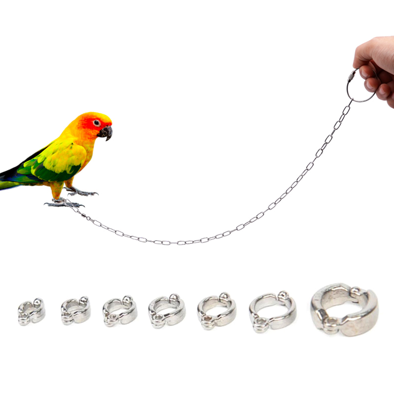 Stainless Steel Parrot Leg Rin - đánh giá và giá Anklet Foot Chain